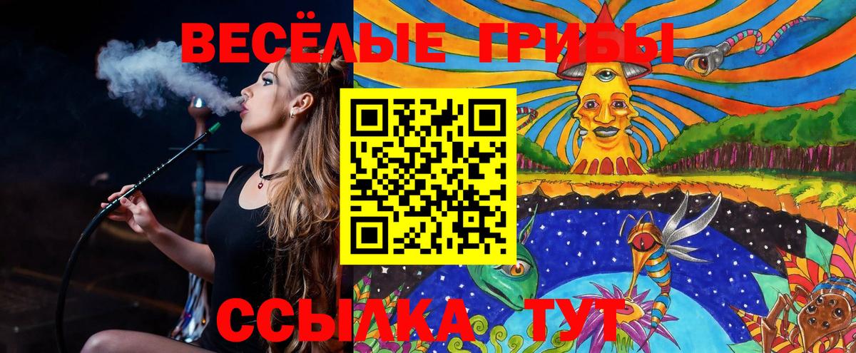 Псилоцибиновые грибы мухоморы  Галлюциногенные грибы Magic Shrooms  Вход с VPN  Петропавловск-Камчатский 