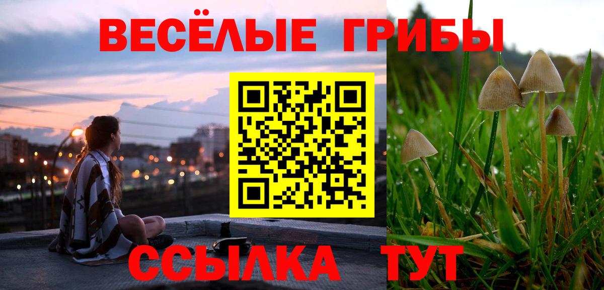 Псилоцибиновые грибы Psilocybe Петропавловск-Камчатский